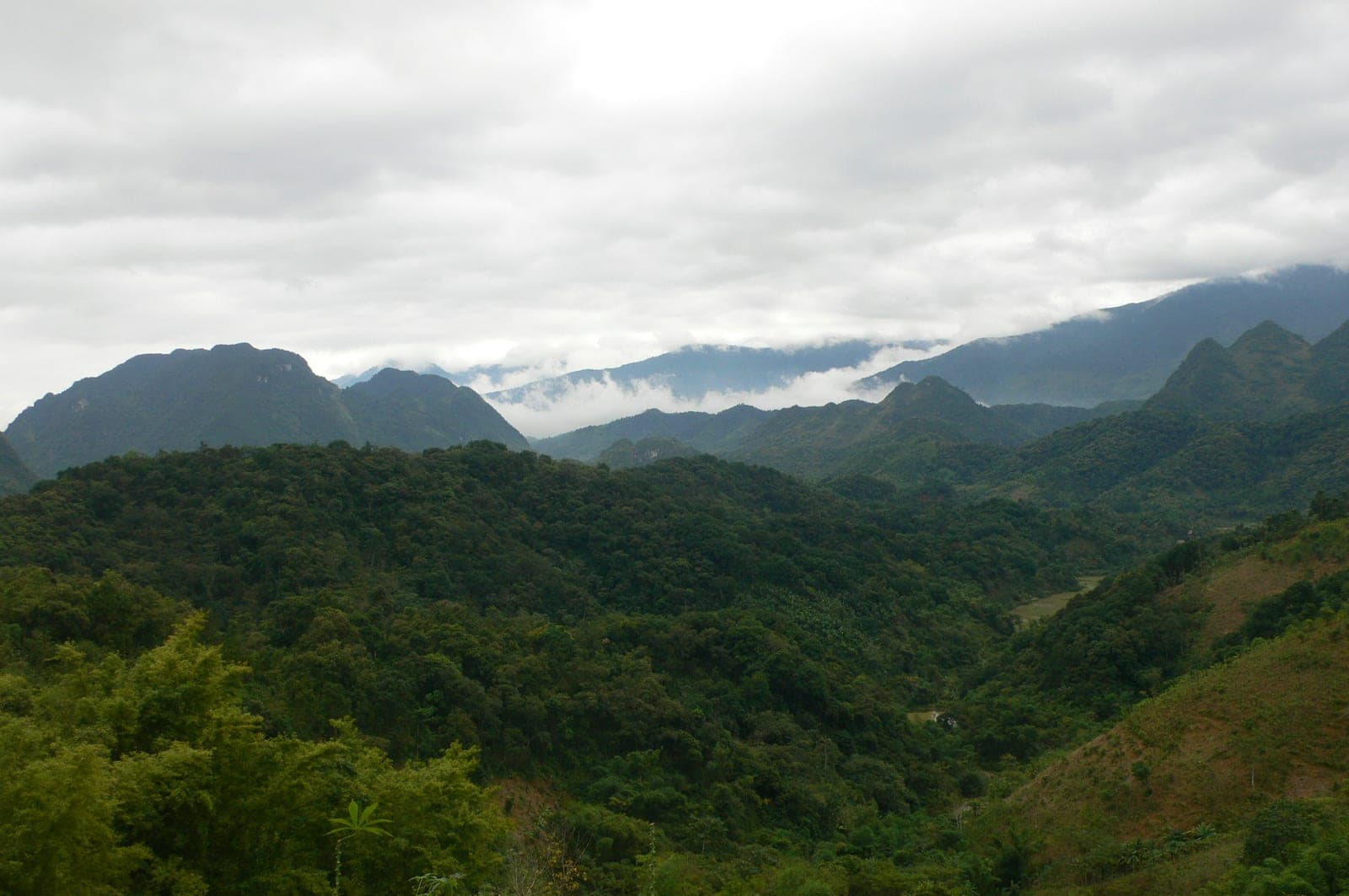 Terraced rice paddies cascading down lush green mountainside in Pu Luong nature reserve, typical of Vietnam's ethnic minority agricultural valleys.